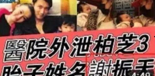 娱乐圈吃瓜名字怎么取名